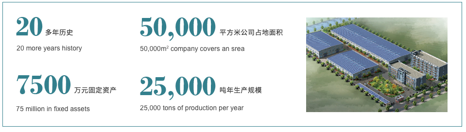 長特公司介紹.jpg